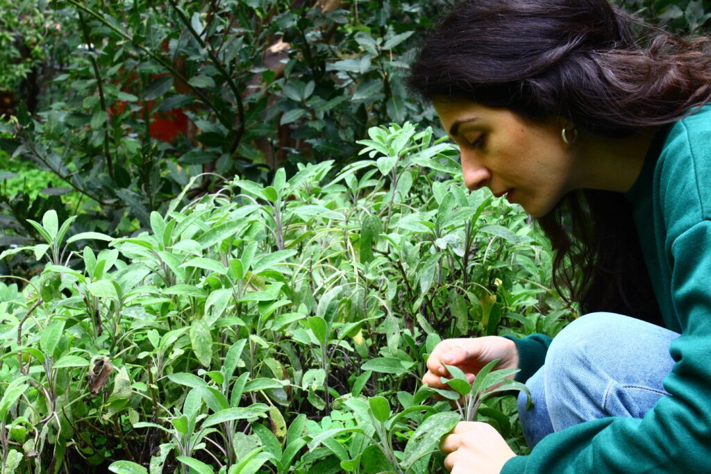 La Naturopatia cos'è? Funziona davvero?
